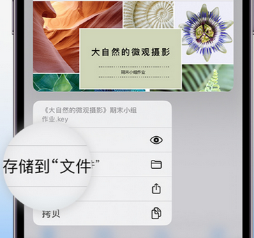 山阴apple维修中心分享iPhone文件应用中存储和找到下载文件