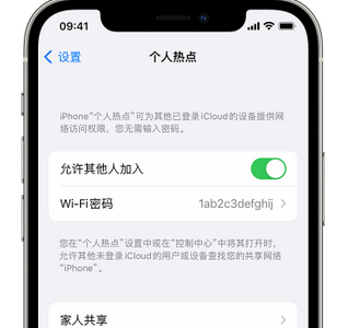 山阴apple服务站点分享iPhone上个人热点丢失了怎么办