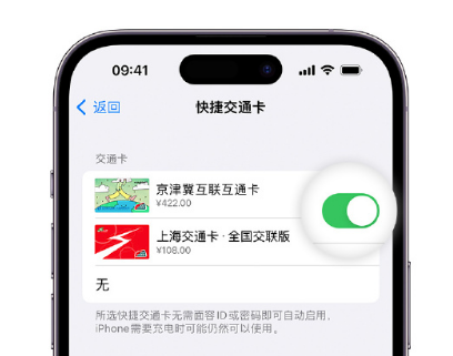 山阴apple维修点分享iPhone上更换Apple Pay快捷交通卡手绘卡面 