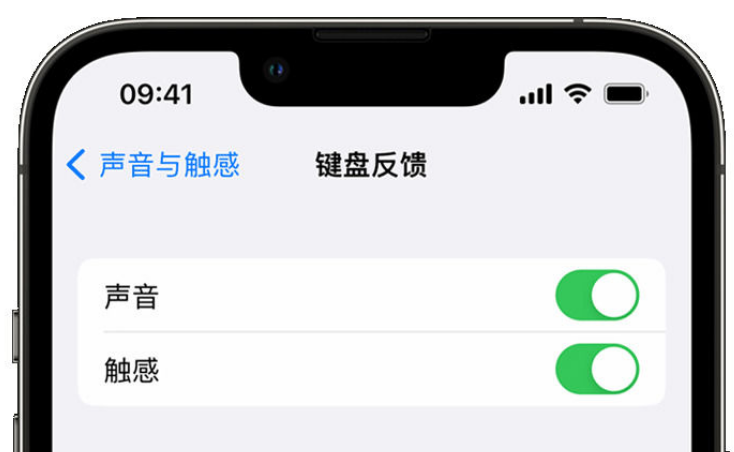 山阴苹果手机维修分享iPhone 14触感键盘使用方法 