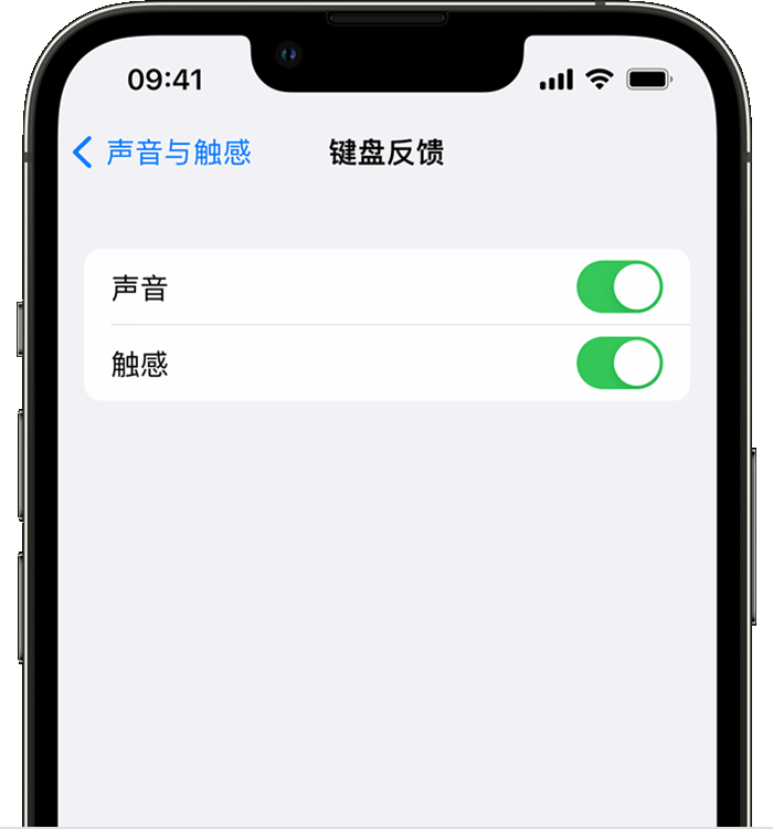 山阴苹果14维修店分享如何在 iPhone 14 机型中使用触感键盘 