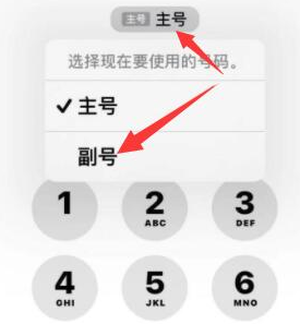 山阴苹果14维修店分享iPhone 14 Pro Max使用副卡打电话的方法 