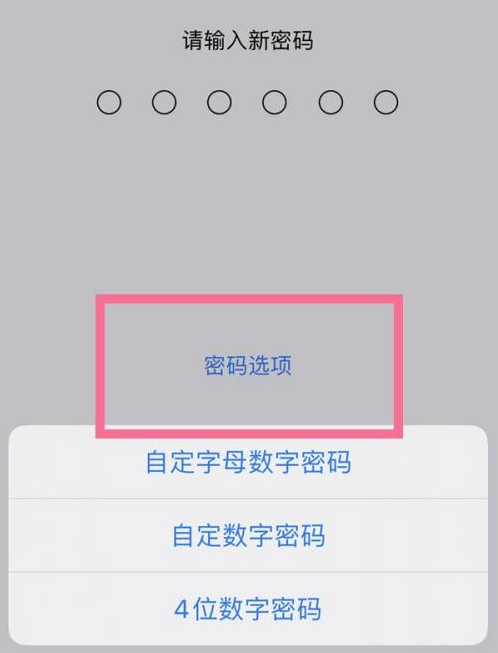 山阴苹果14维修分享iPhone 14plus设置密码的方法 