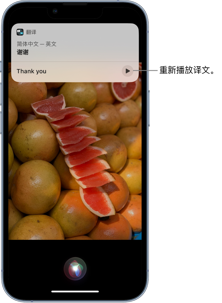 山阴苹果14维修分享 iPhone 14 机型中使用 Siri：了解 Siri 能帮你做什么 