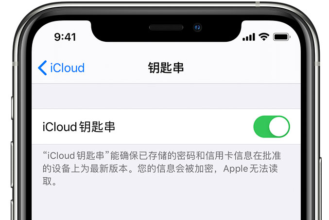 山阴苹果手机维修分享在 iPhone 上开启 iCloud 钥匙串之后会储存哪些信息 