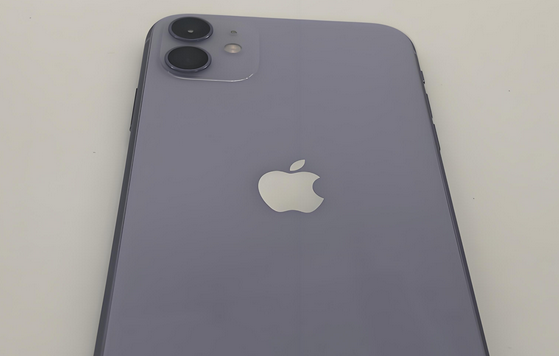 山阴苹果11系统维修分享iPhone11手机系统崩溃无法开机如何解决 